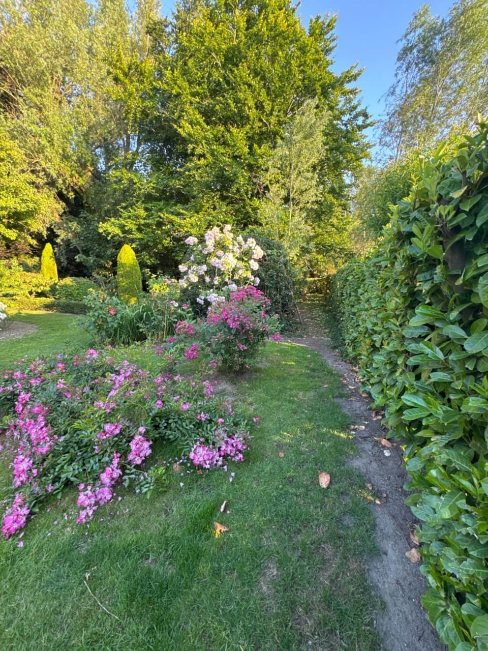 Hoeve Pino, Verwarmd zwembad Villa in Flanders