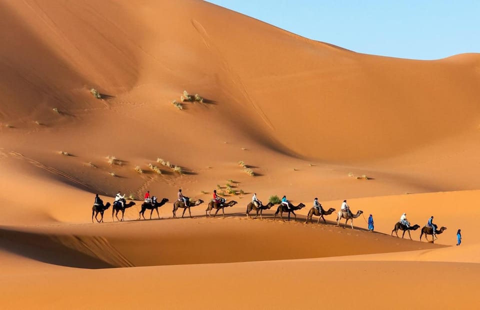 People, Natural landscape, group of guests