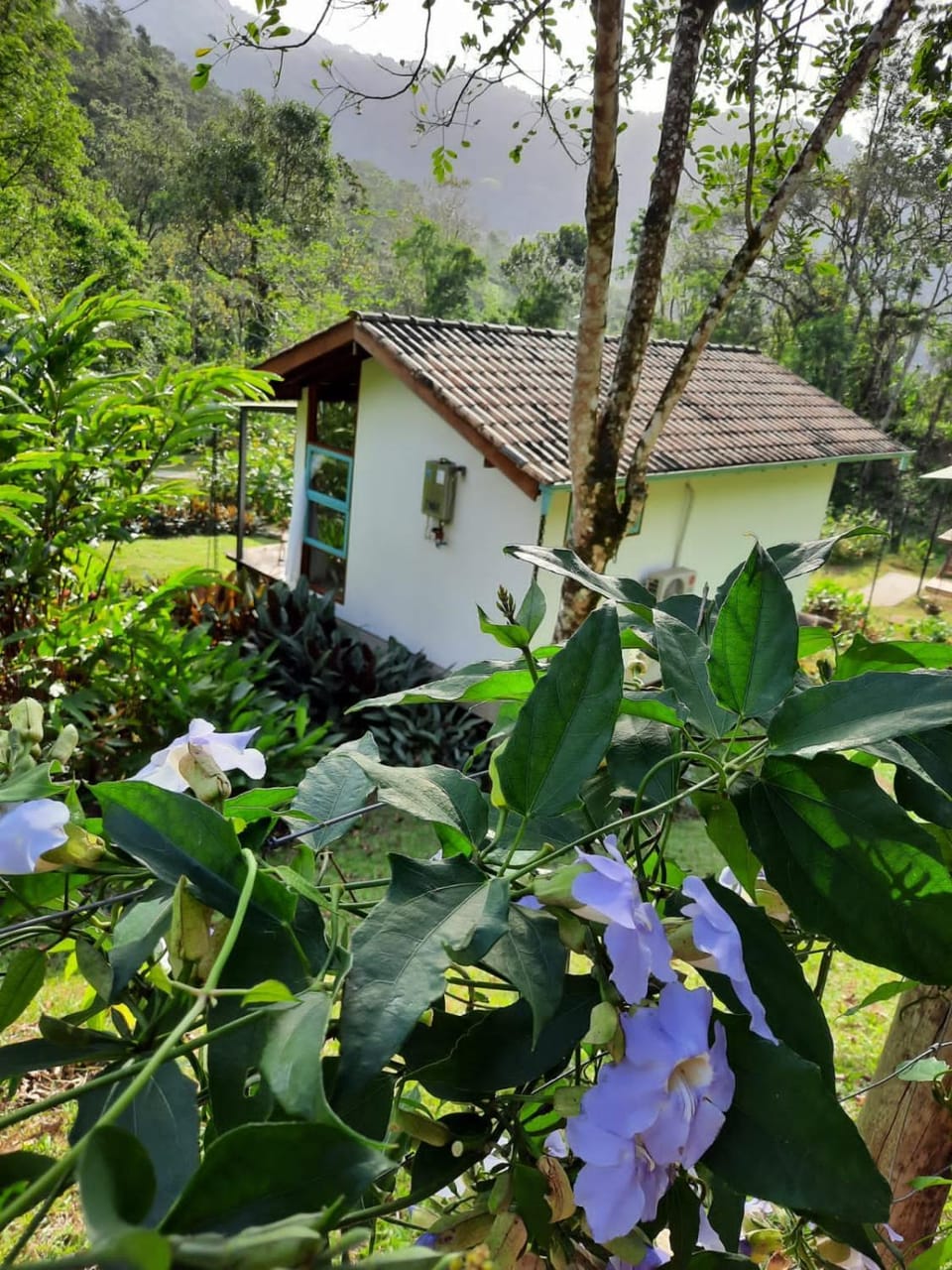 Paiol Eco Suites Bed and Breakfast in State of Rio de Janeiro