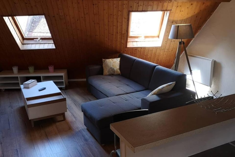 Duplex au centre ville, dans cour intérieure calme Apartment in Dole