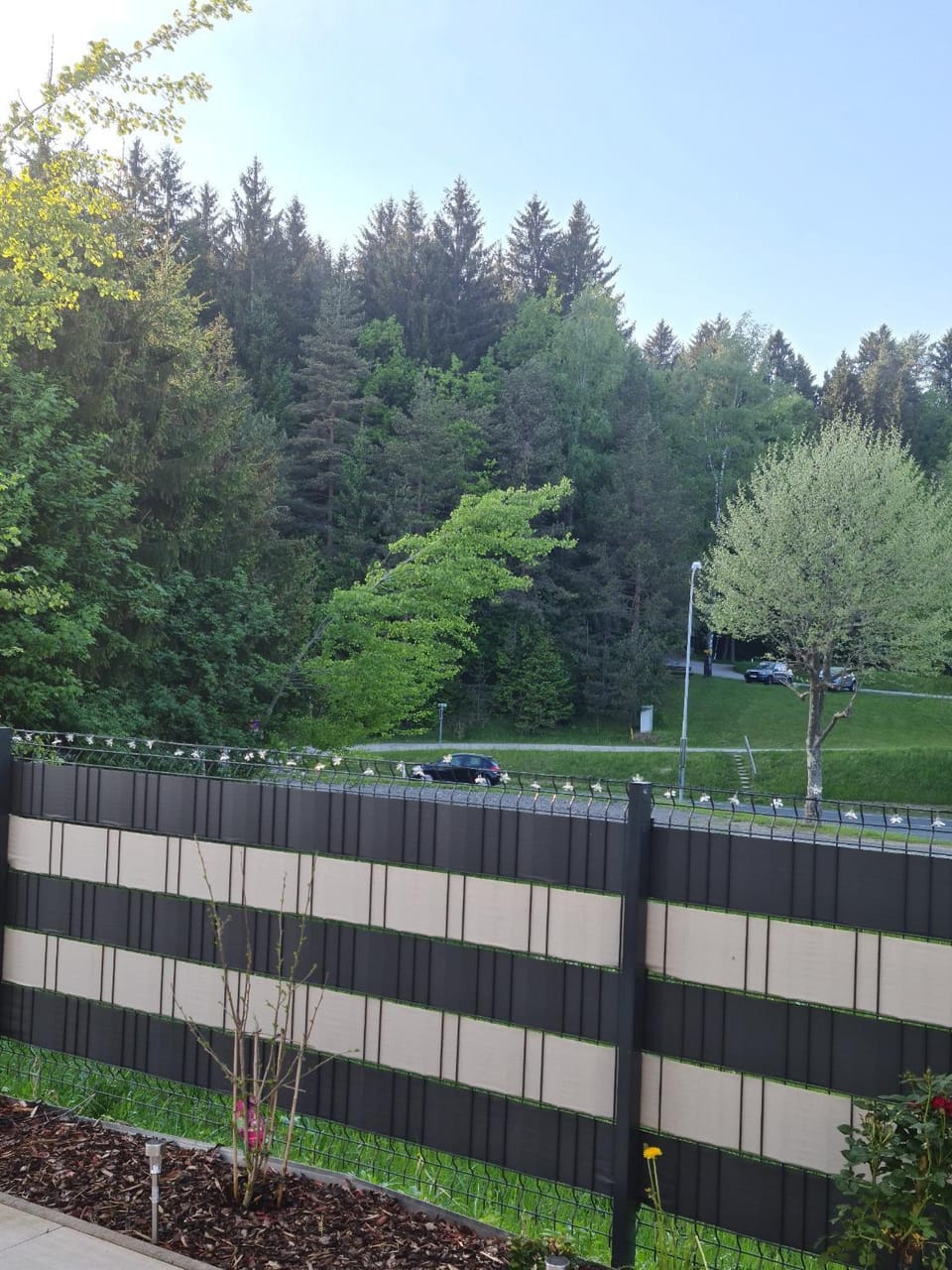 Garden view