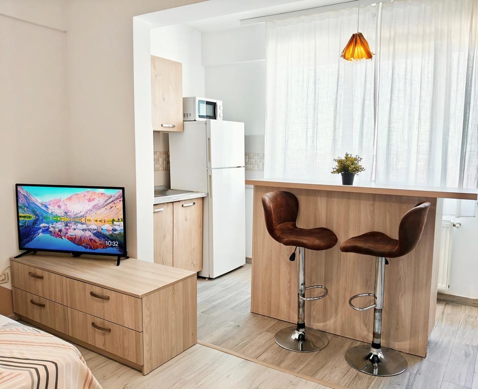 Quiet & Bright Studio - Available Monthly Apartment in Bucharest