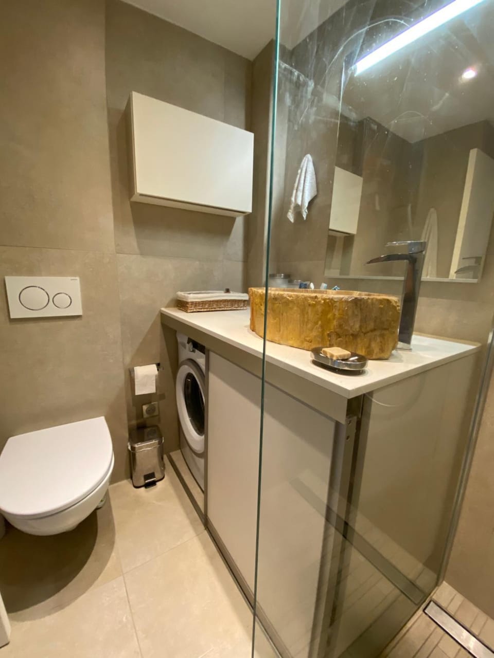 Toilet, washing machine
