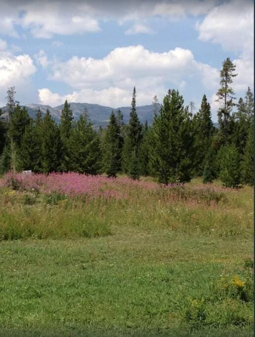 Natural landscape