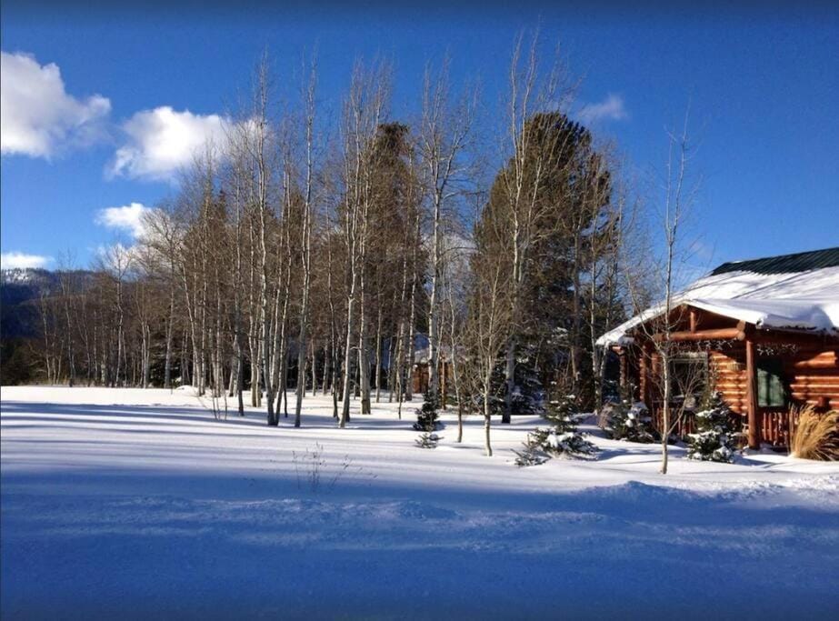 Winter