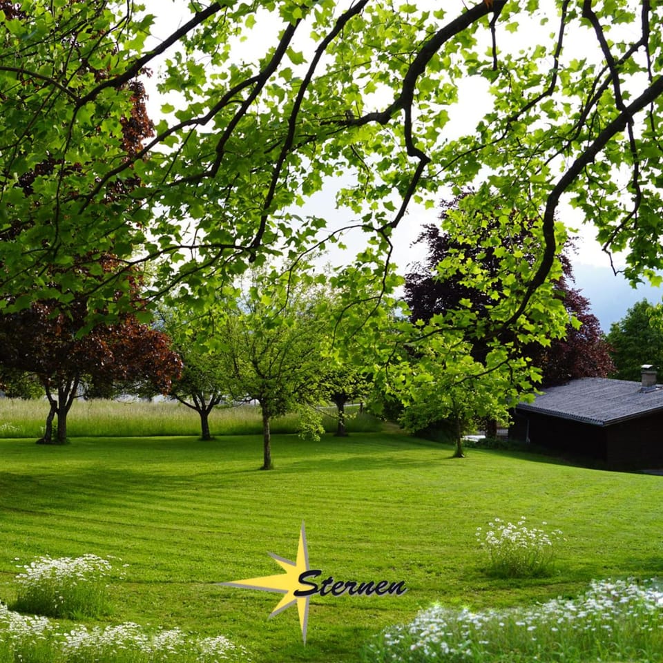 Spring, Natural landscape, Garden, Garden view
