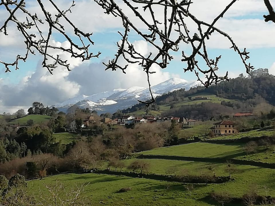 Mountain view