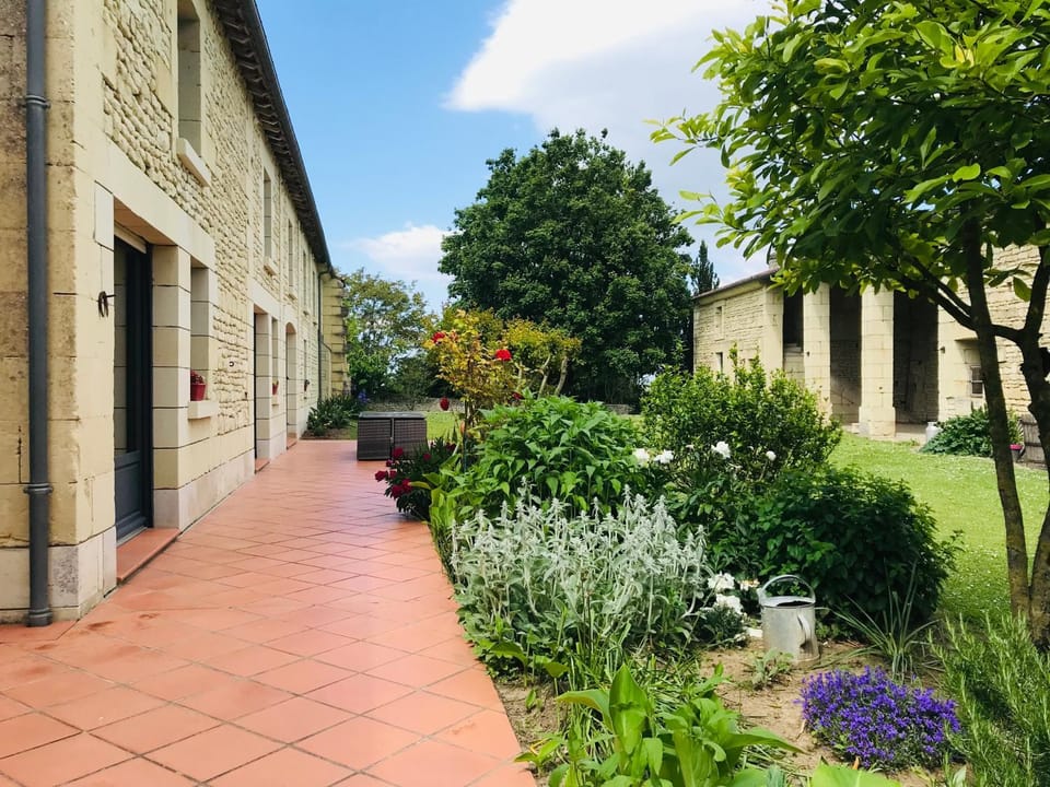 Property building, Garden view