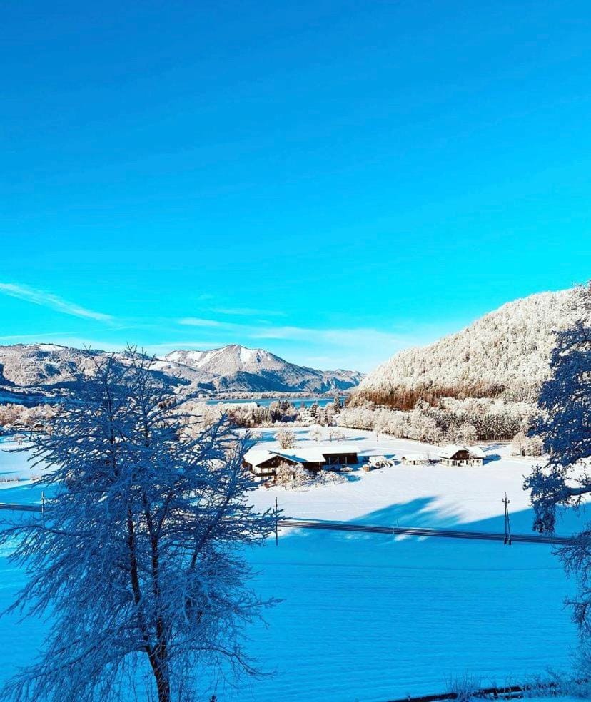 Natural landscape, Winter, View (from property/room), View (from property/room), Lake view, Lake view