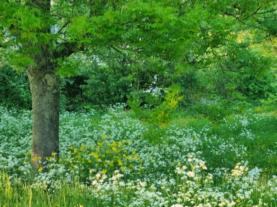 Natural landscape