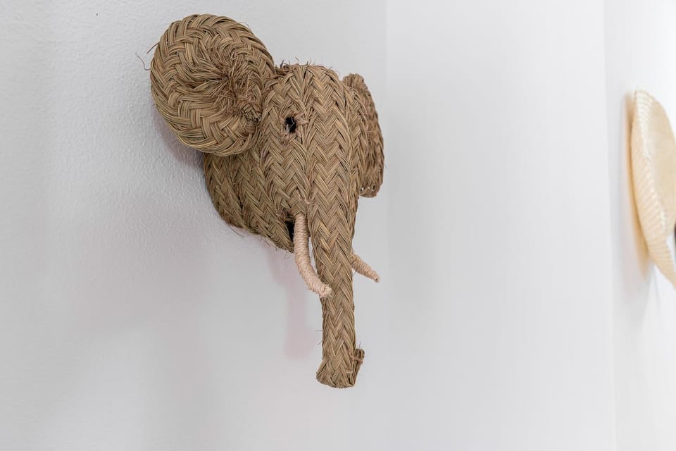 Animals