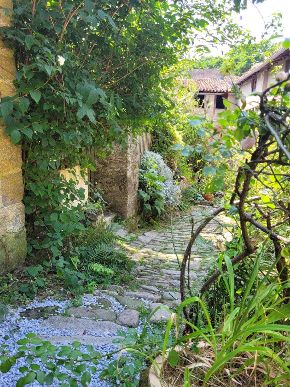 Garden, View (from property/room), Garden view