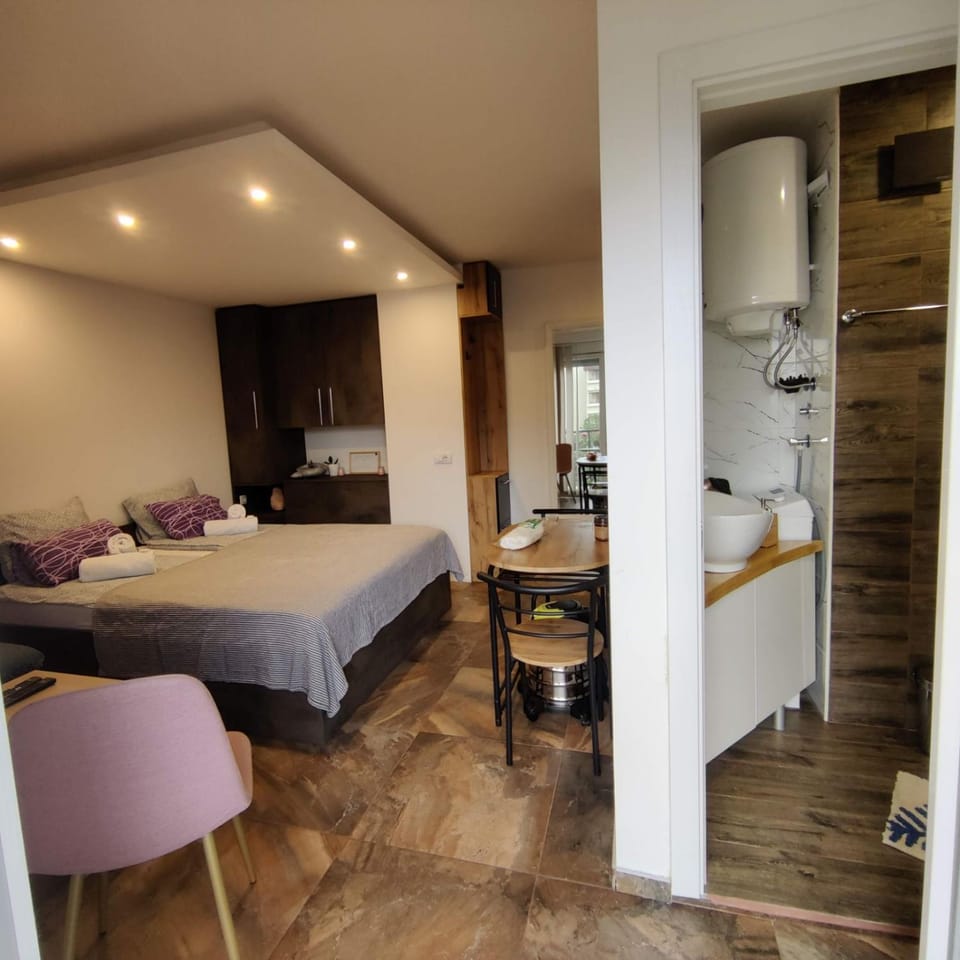 Kala Apartment Apartment in Novi Sad