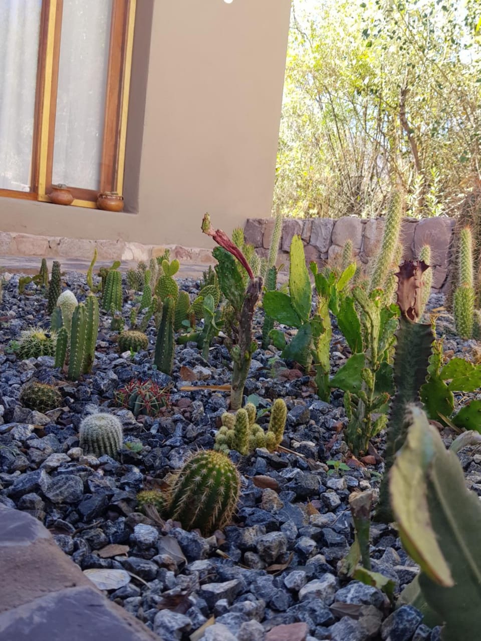 Tierra Primitiva Apartment in Jujuy Province, Argentina