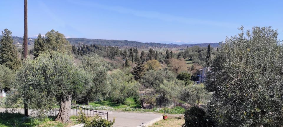 View (from property/room)