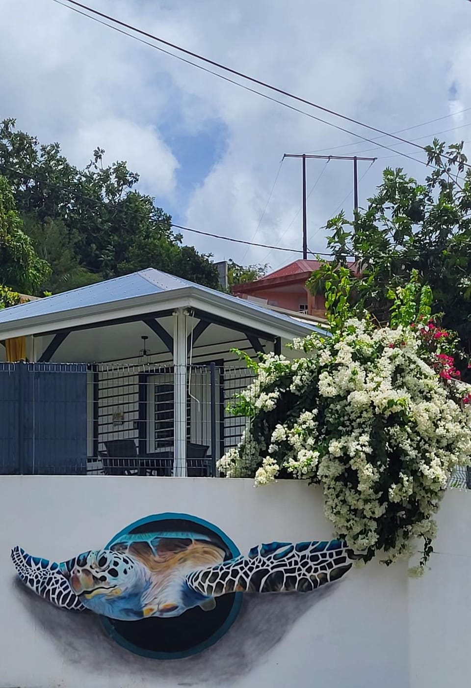 Garden view