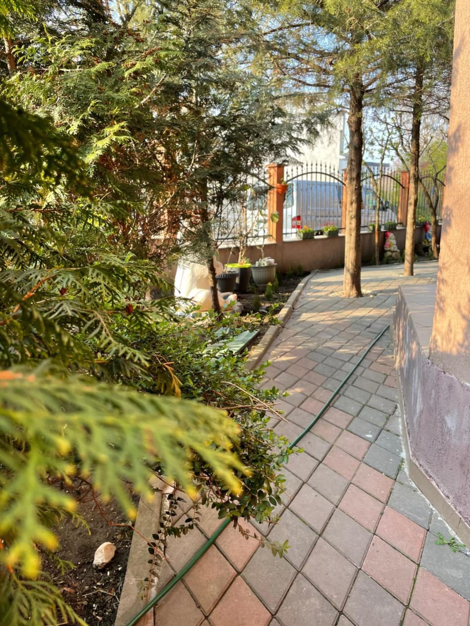 Spring, Garden, Garden view