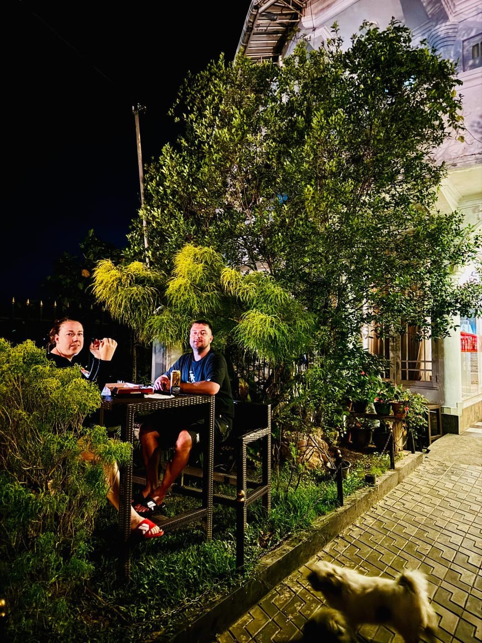 Garden view