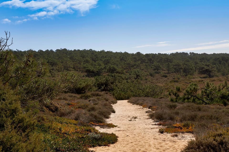 Natural landscape