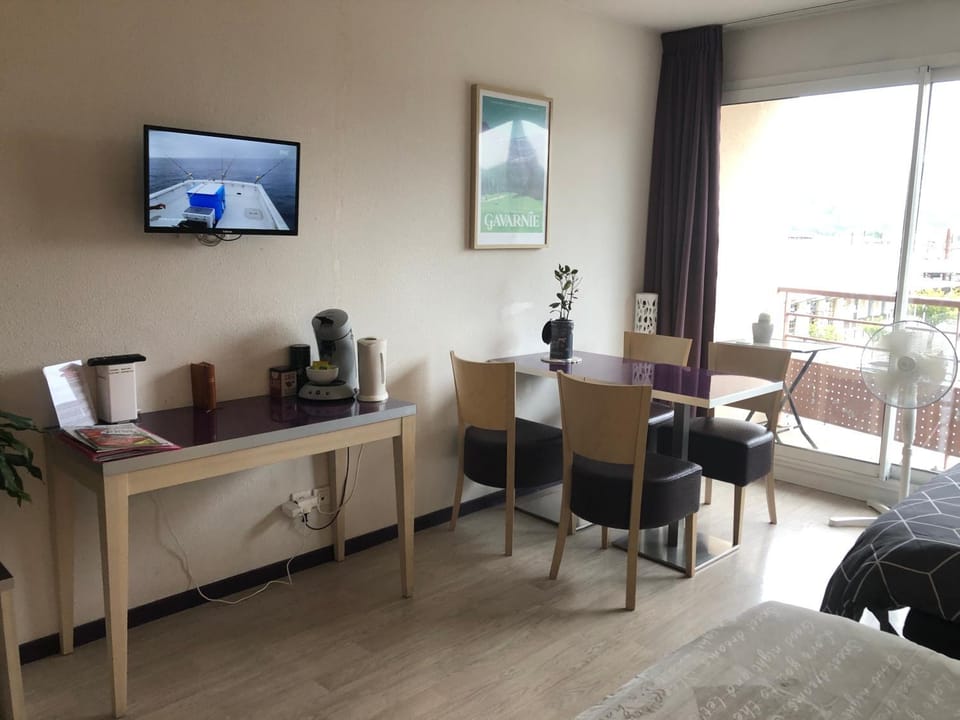 Family Saint Vincent 4 pers gare lourdes wifi Apartment in Lourdes