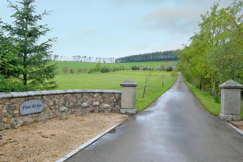 Neighbourhood, Garden