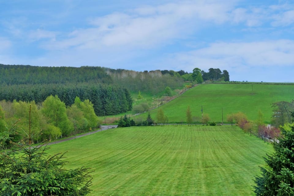 Natural landscape, Garden