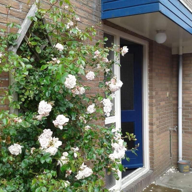 AgterdeKoog Bed and Breakfast in De Koog