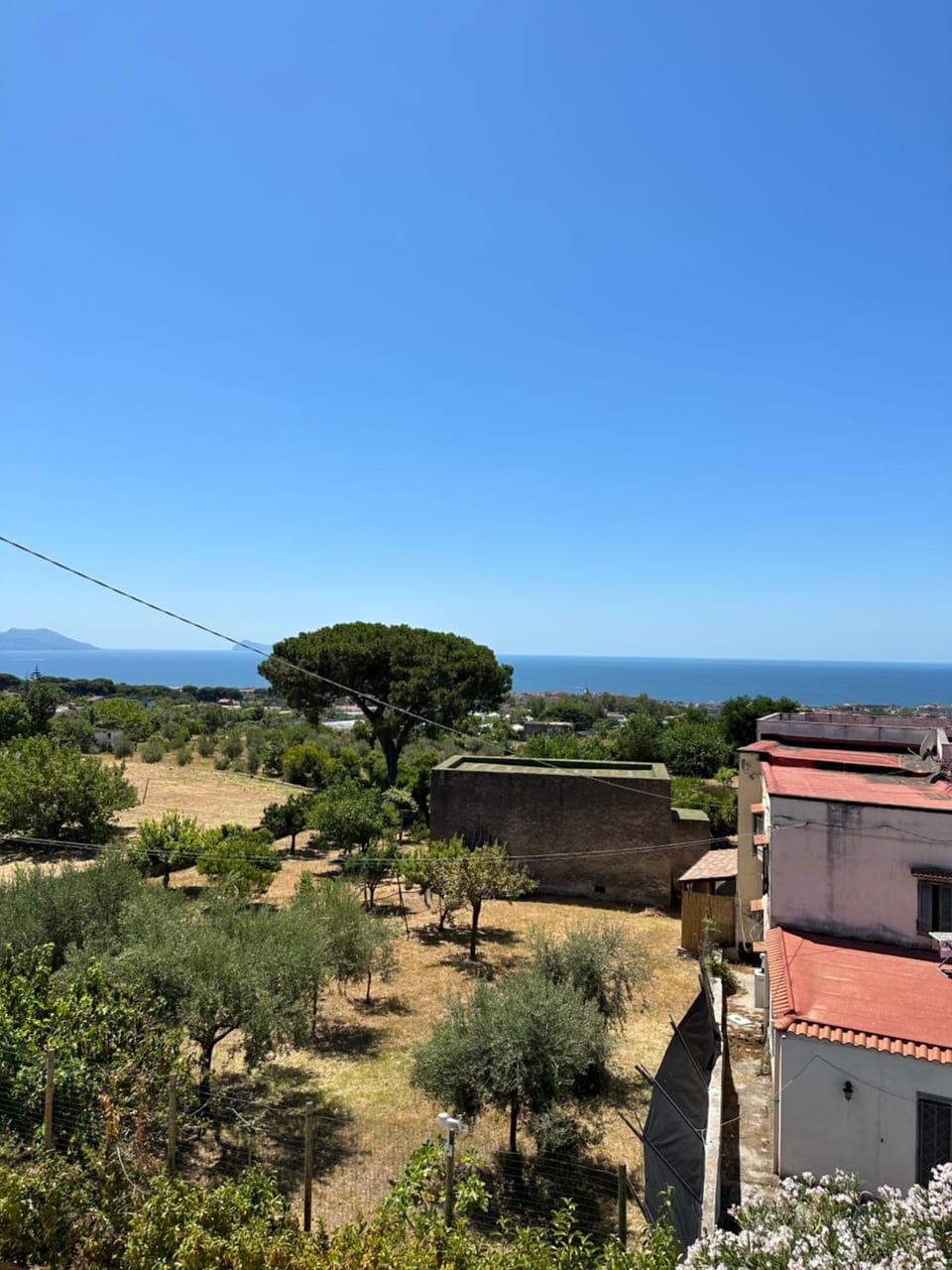 Villa Mazza al Vesuvio Farm Stay in Campania