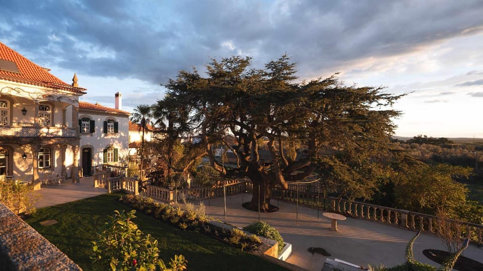 Casa do Cedro de Medelim Farm Stay in Extremadura, Spain