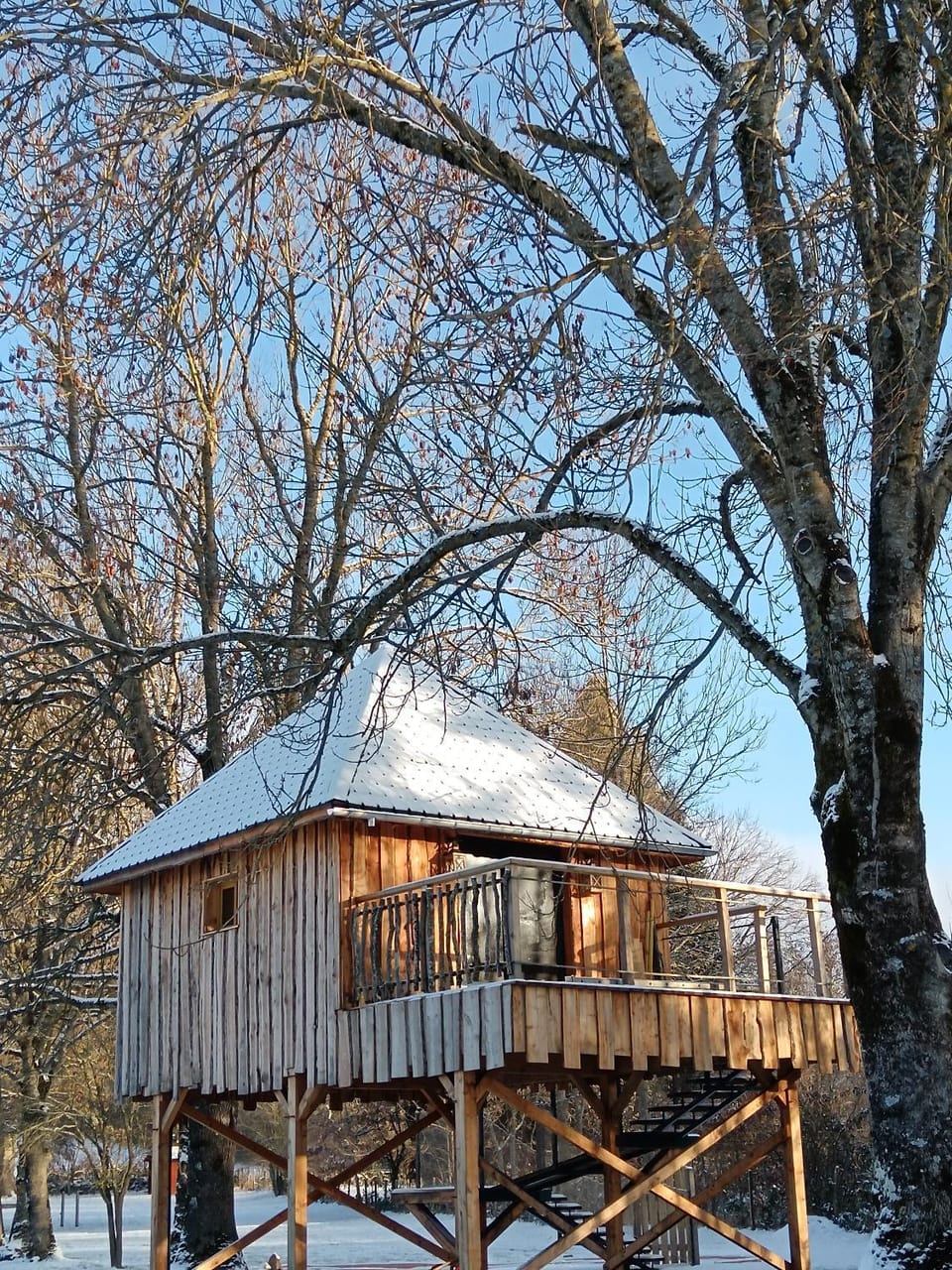 Chalets et cabane perchée "Ô Cœur des Puys" House in Auvergne-Rhône-Alpes