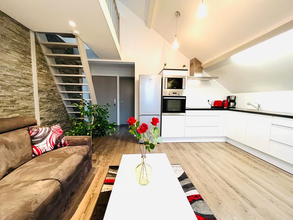 Le Red Loft à 5min du centre-ville avec parking privatif gratuit Apartment in Annecy