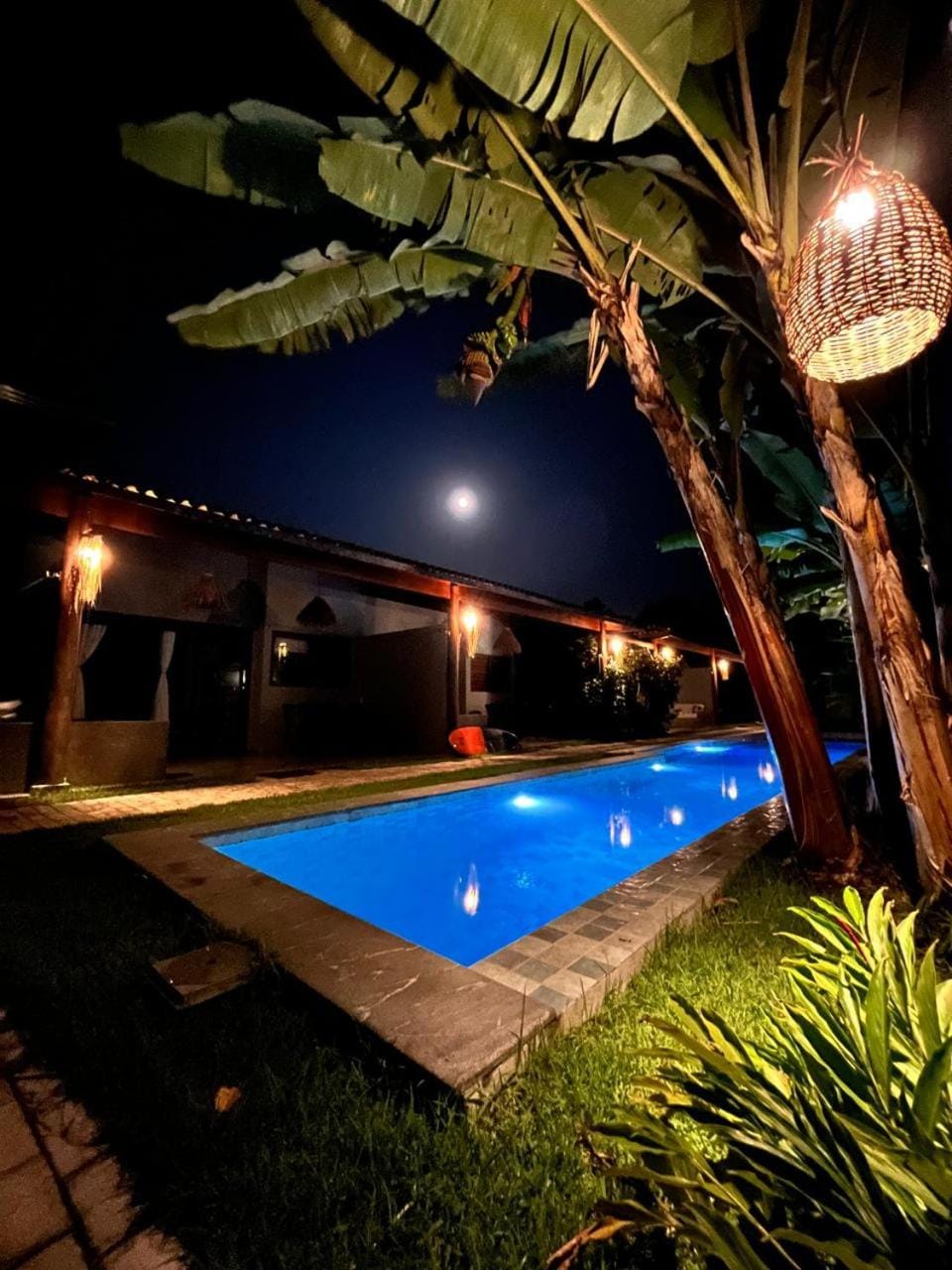 Night, Garden, Swimming pool