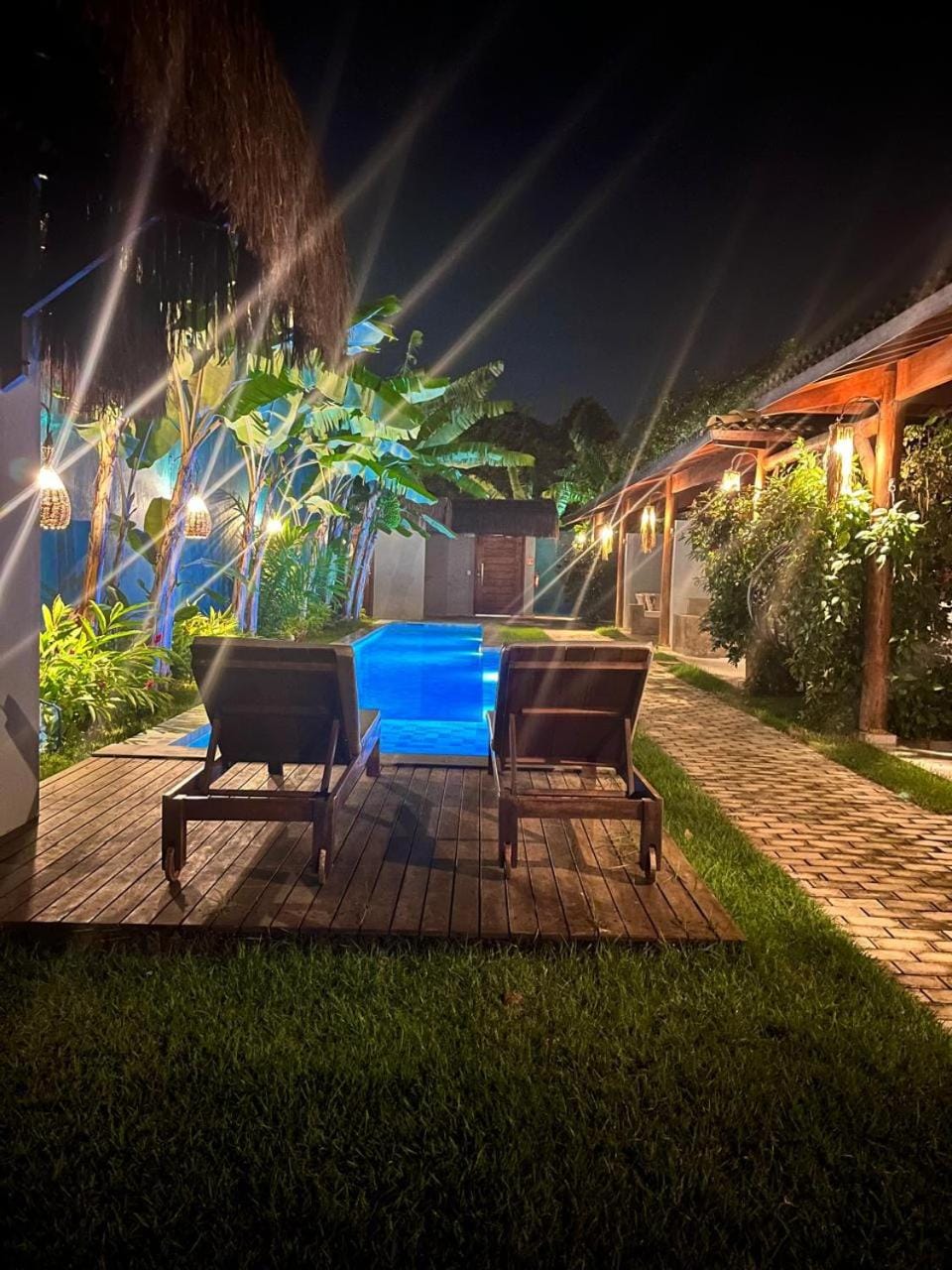 Night, Garden, Swimming pool