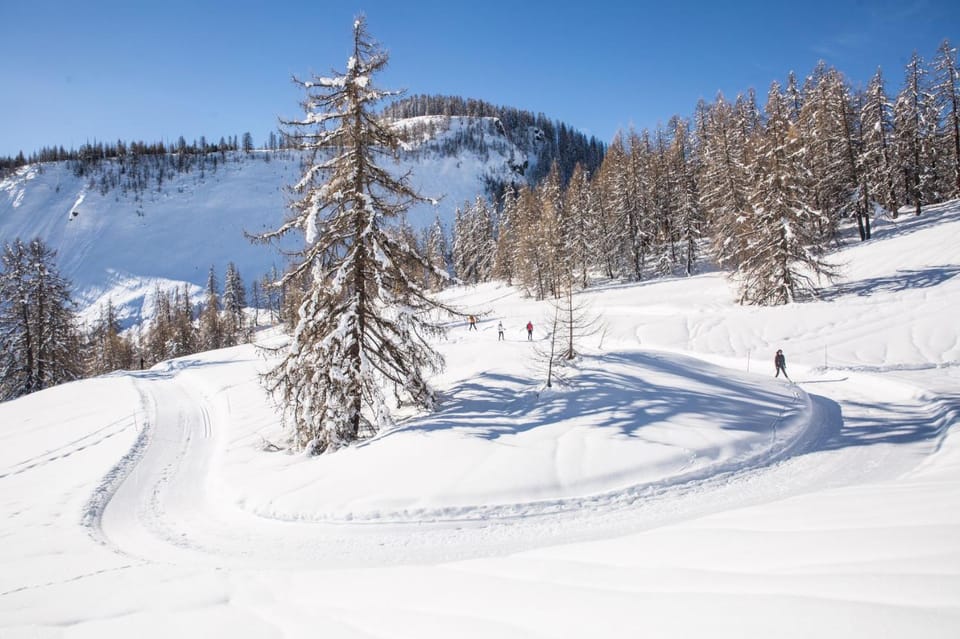 Day, Natural landscape, Winter