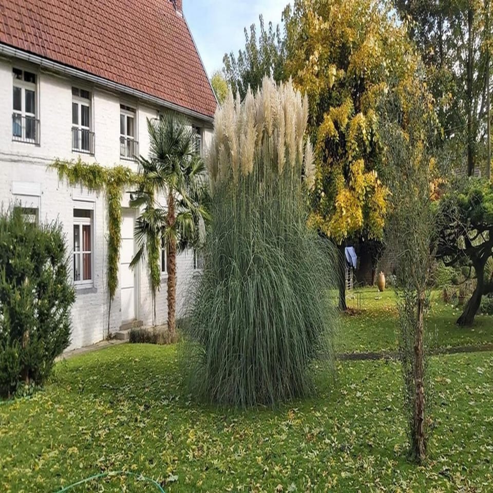 Gîte La Riviera House in Hauts-de-France