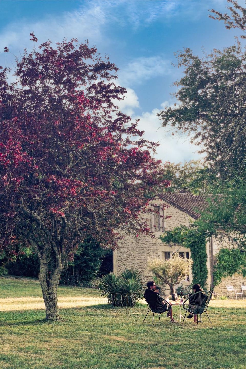Garden, Garden, Garden view, Garden view