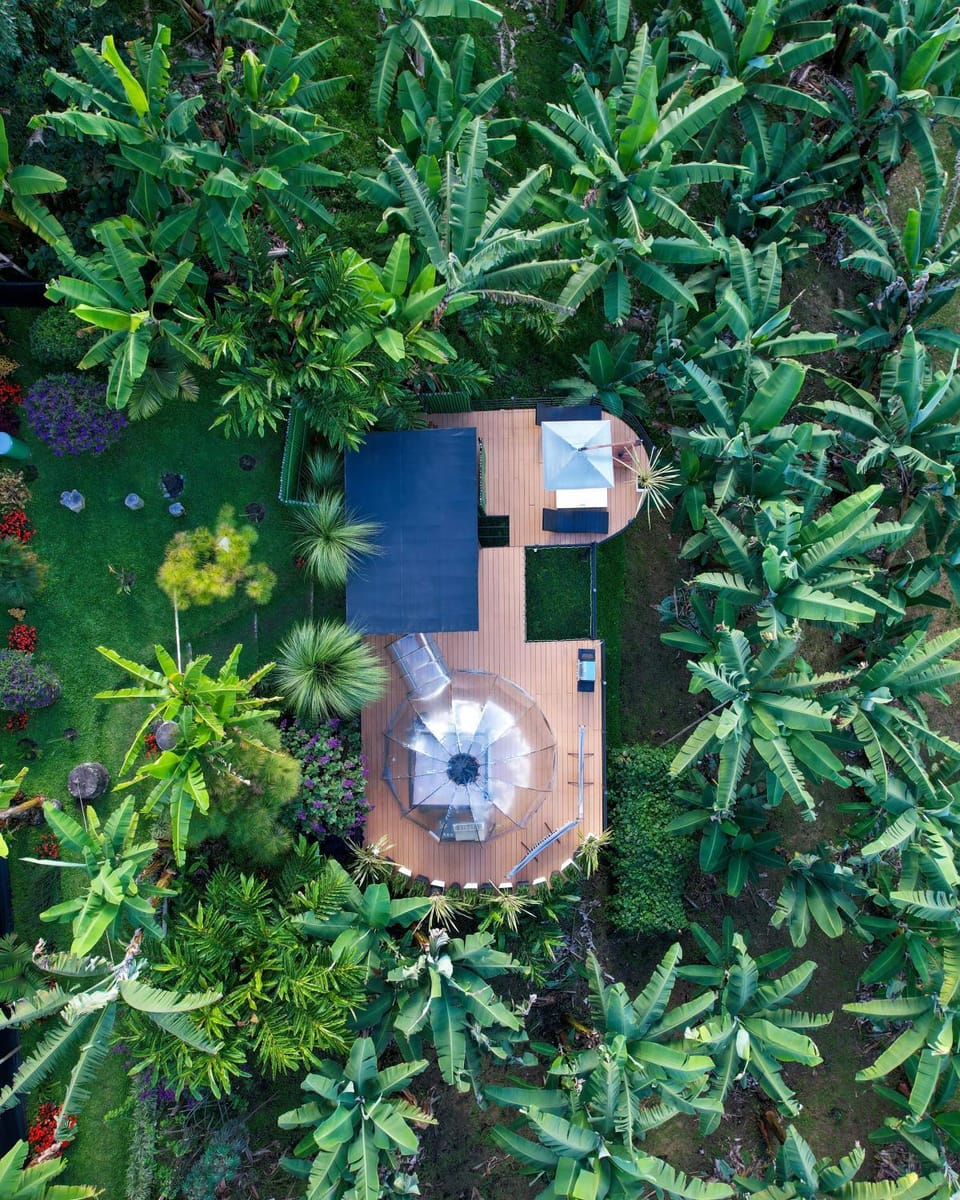 Garden, Garden view, Garden view