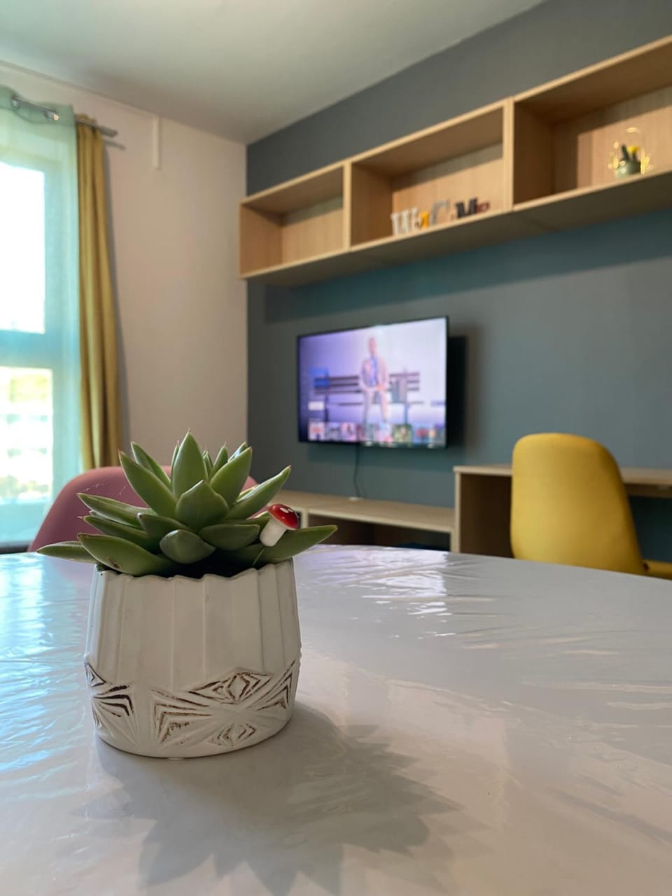 TV and multimedia