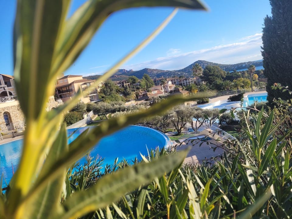 Mountain view, Pool view, Swimming pool