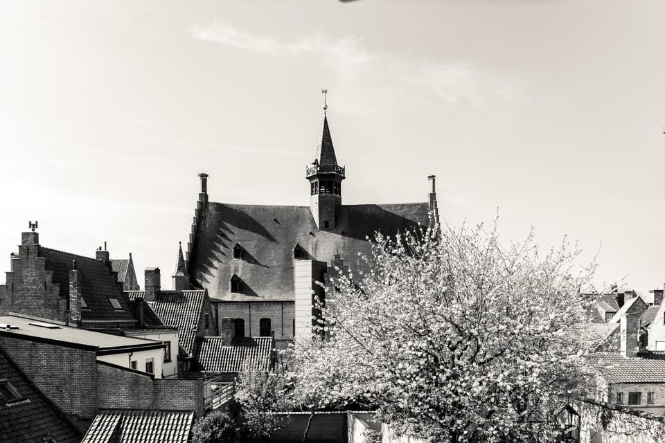 Garden view, Garden view