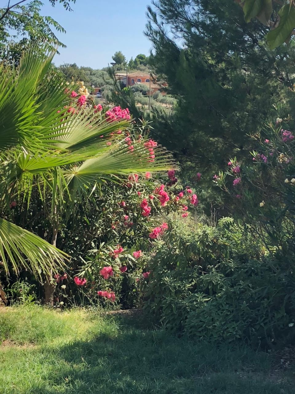 Casa Filù Bed and Breakfast in Sicily