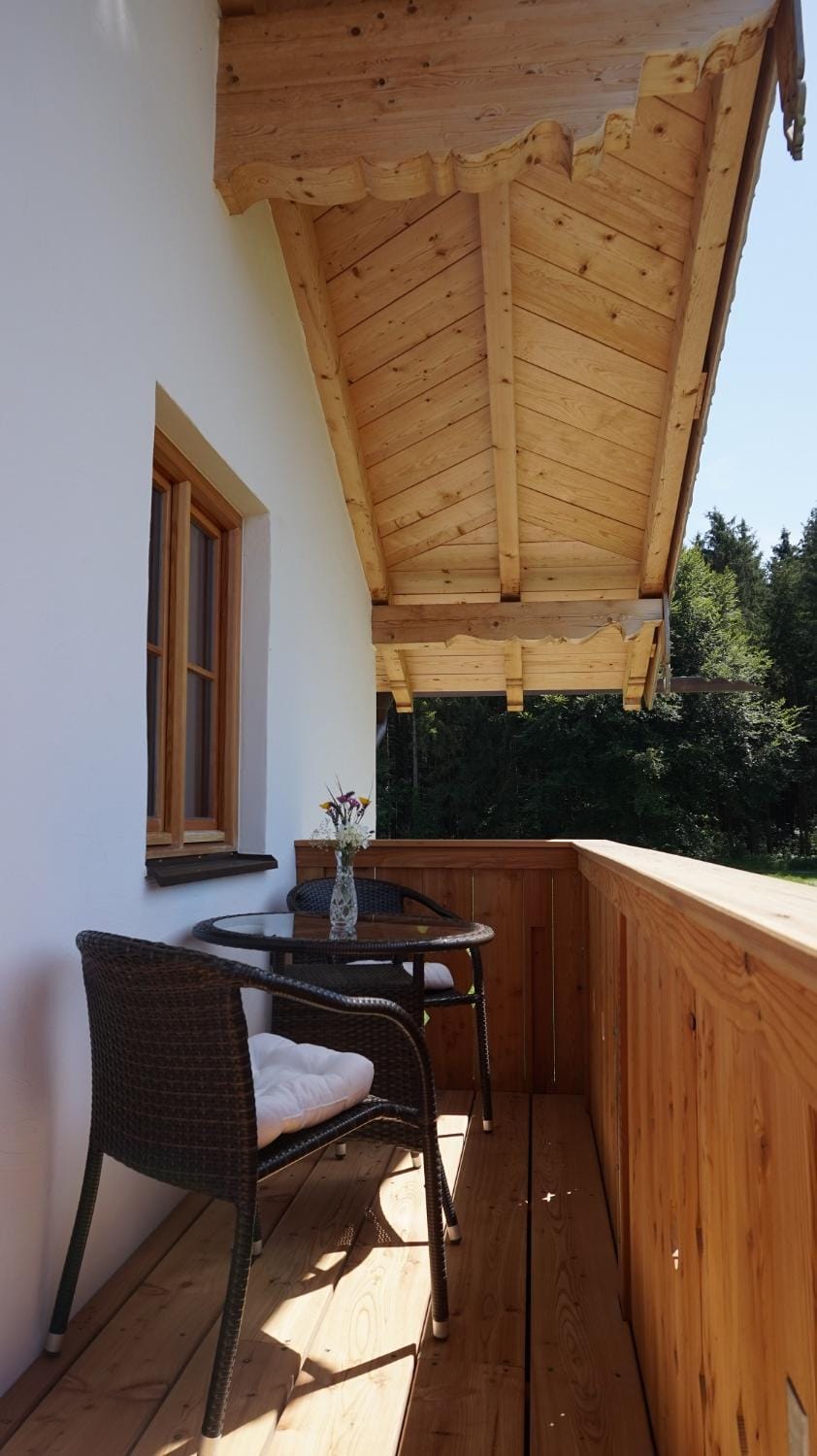 Hölzlhof Apartment in Salzburgerland