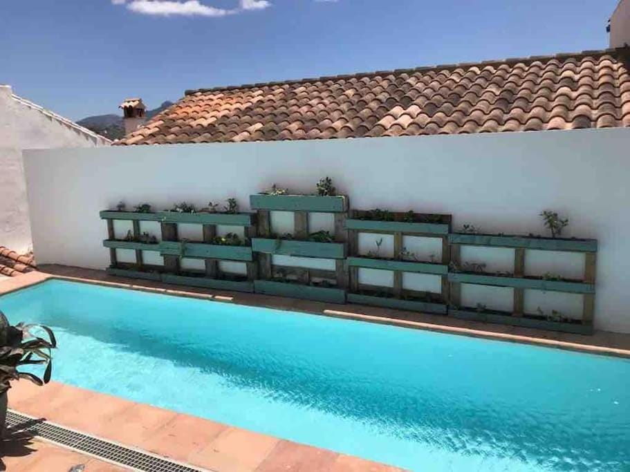 Pool view, Swimming pool, sunbed