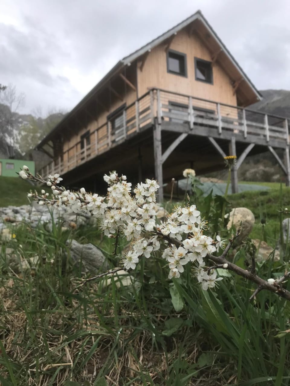 Spring