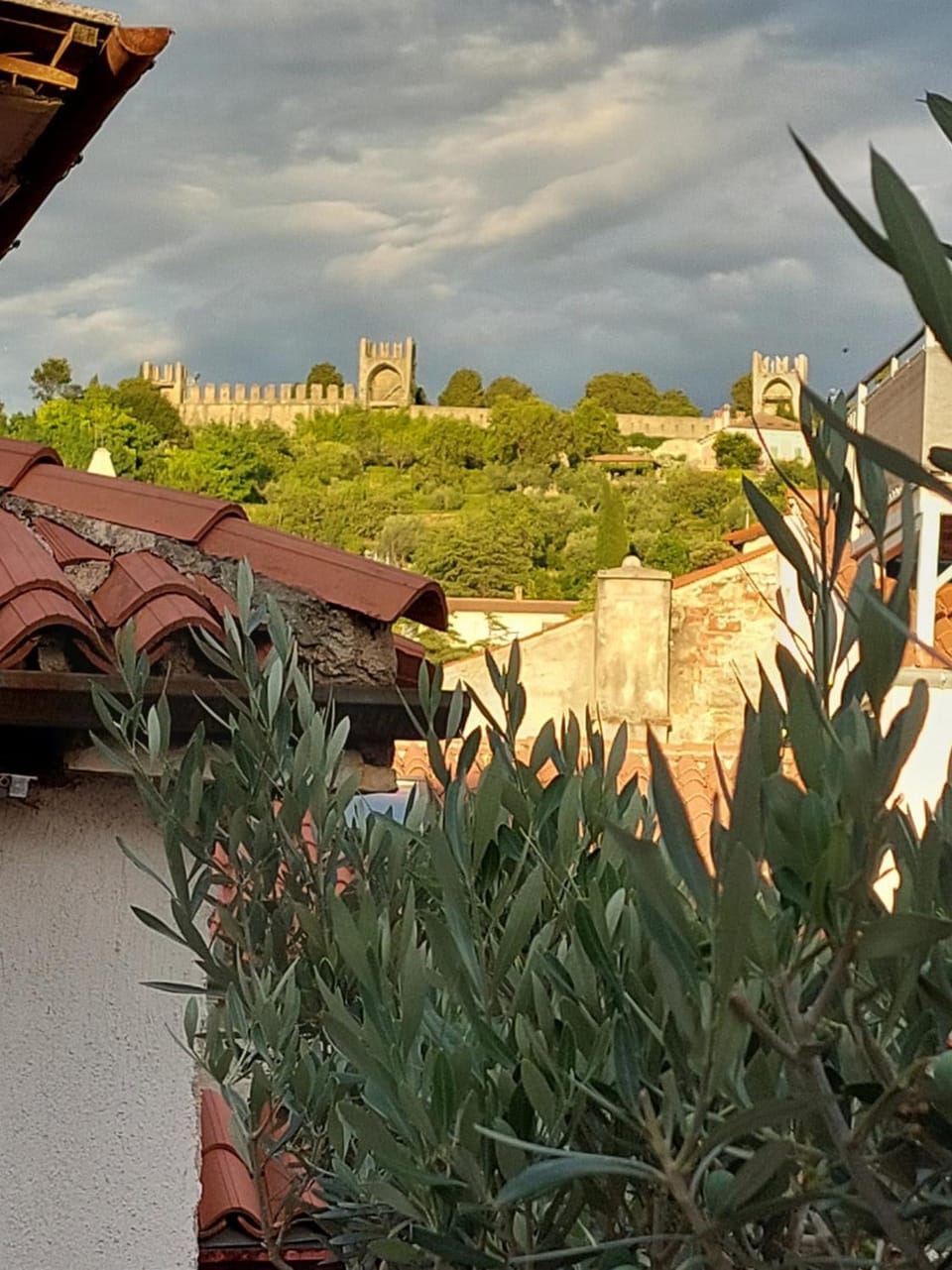 View (from property/room)