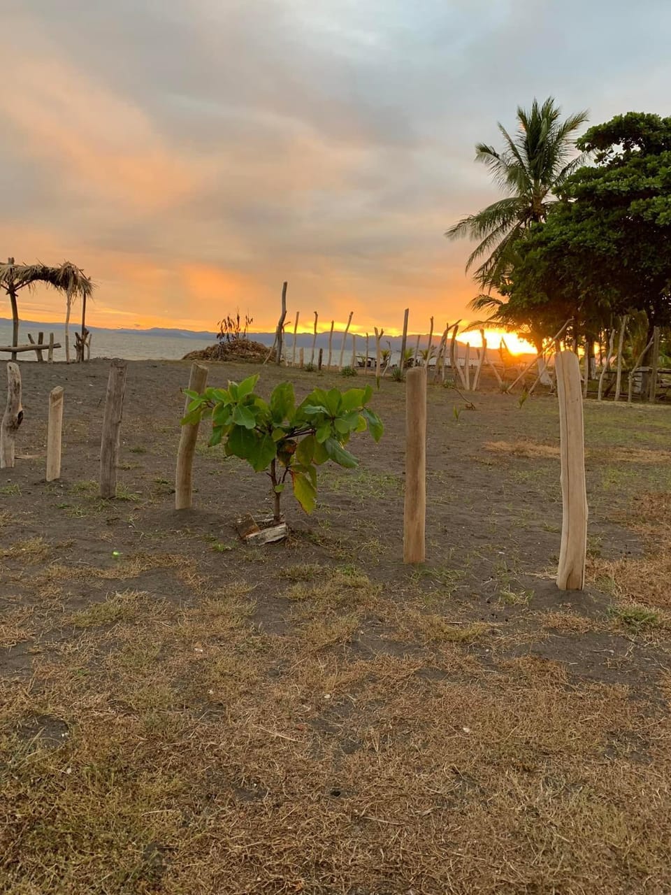 Natural landscape, Garden, Garden view, Sea view, Sunset