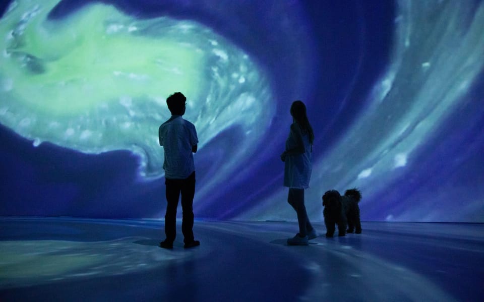 Activities, Entertainment