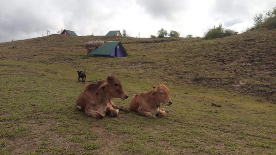 Mirador Valle de la Tatacoa Campground/ 
RV Resort in Huila, Colombia