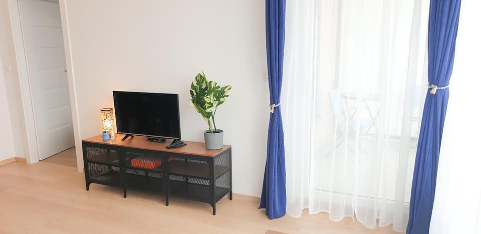 TV and multimedia