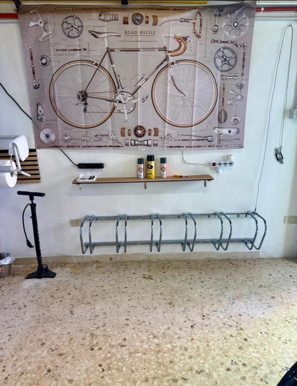 Cycling, Cycling